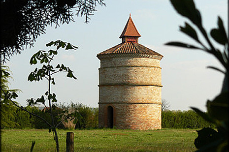 Randonnée pédestre
