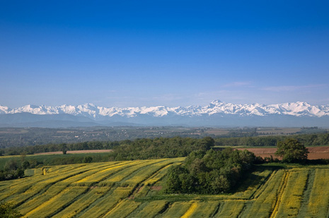 les pyrénées